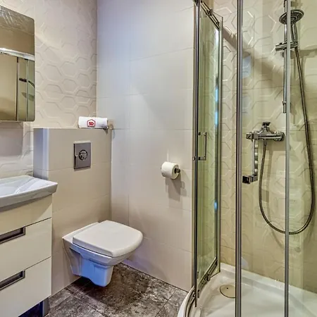 Szary Kamien W Swieradowie Zdroj - 5d *